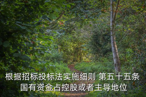 根據(jù)招標投標法實施細則 第五十五條 國有資金占控股或者主導地位