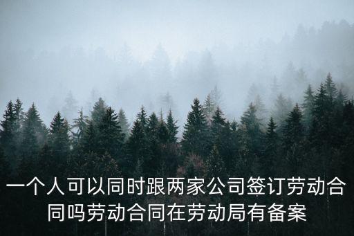 一個員工簽兩家公司勞動協(xié)議，一個人可以同時和兩個公司簽訂勞動合同嗎