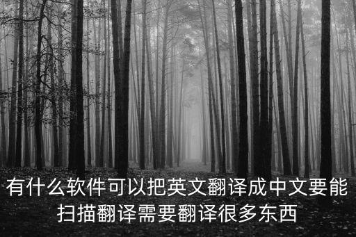 有什么軟件可以把英文翻譯成中文要能掃描翻譯需要翻譯很多東西