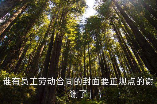 合同文件封面圖片，銷售合同的封面有嗎
