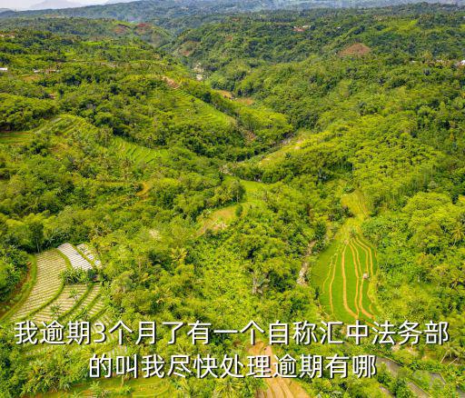 我逾期3個月了有一個自稱匯中法務(wù)部的叫我盡快處理逾期有哪