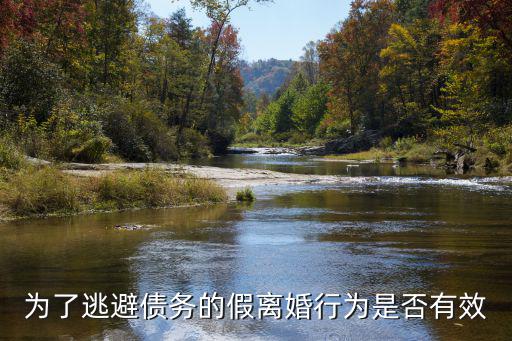 為了逃避債務的假離婚行為是否有效