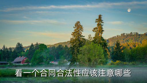 看一個(gè)合同合法性應(yīng)該注意哪些