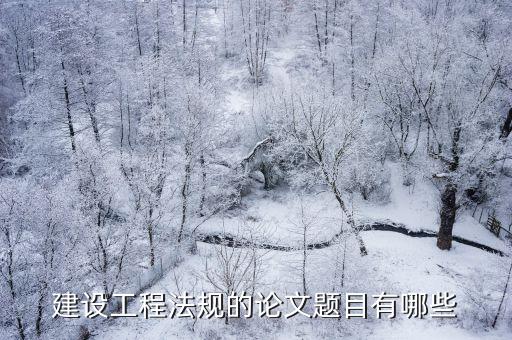 工程建設(shè)執(zhí)業(yè)資格法規(guī)論文，建設(shè)工程法規(guī)的論文題目有哪些