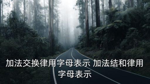 法律用字母表示，法律用韓文英文俄文怎么表示