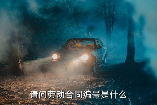 請問勞動(dòng)合同編號是什么