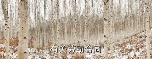 有關(guān)勞動(dòng)合同
