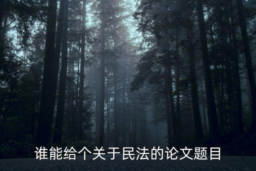 關(guān)于民法典的論文題目，急求一篇關(guān)于民法專題小論文