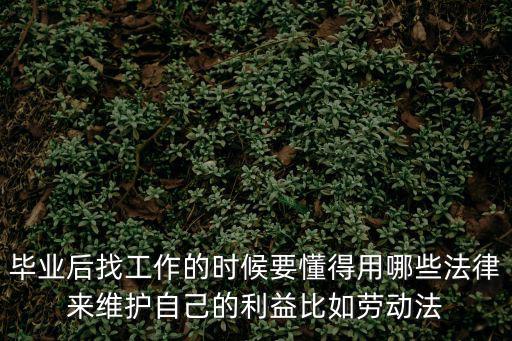 大學生就業(yè)有關(guān)的法律法規(guī)，即將畢業(yè)的大學生找工作應(yīng)注意哪些相關(guān)法律
