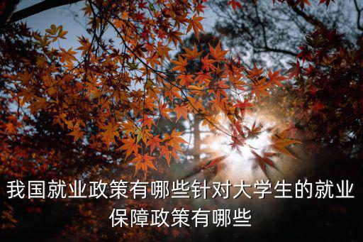我國(guó)就業(yè)政策有哪些針對(duì)大學(xué)生的就業(yè)保障政策有哪些