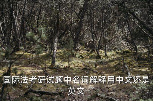 國(guó)際法考研試題中名詞解釋用中文還是英文