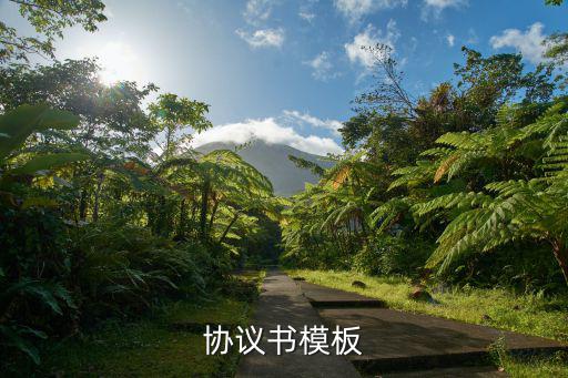 協(xié)議書模板