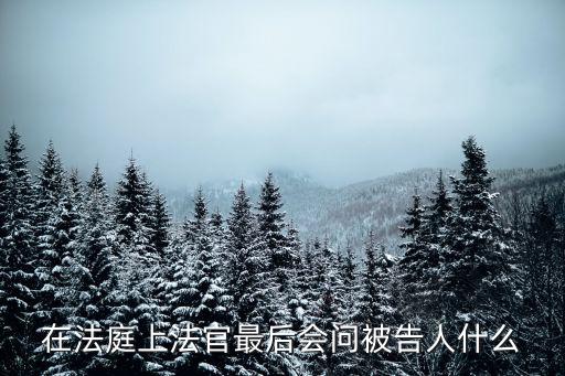 法官調(diào)解一般會給被告說什么，離婚官司法官 在下判決書準(zhǔn)備判離 時(shí)官司結(jié)束時(shí)法官一般會問被