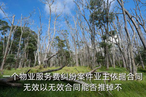 一個物業(yè)服務(wù)費(fèi)糾紛案件業(yè)主依據(jù)合同無效以無效合同能否推掉不