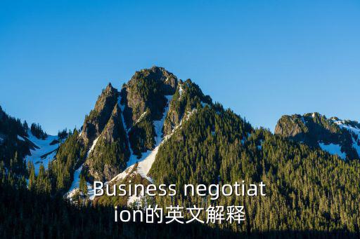 Business negotiation的英文解釋