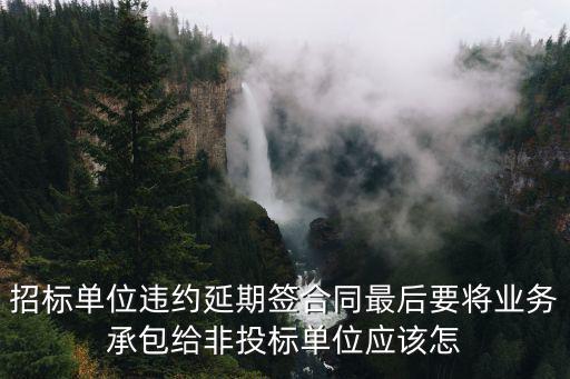 招標(biāo)單位違約怎么處理，通過公開招標(biāo)后如果一方毀約怎么辦