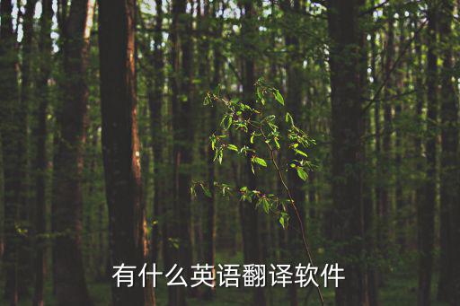 有什么英語翻譯軟件