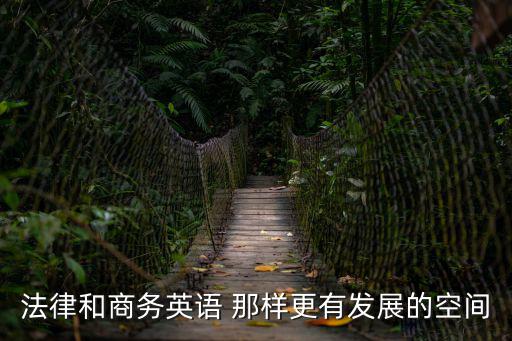 商務(wù)英語(yǔ)與法律相結(jié)合的論文，法律和商務(wù)英語(yǔ) 那樣更有發(fā)展的空間