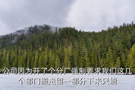 公司因?yàn)殚_(kāi)了個(gè)分廠強(qiáng)制要求我們這幾個(gè)部門搬走留一部分下來(lái)只能