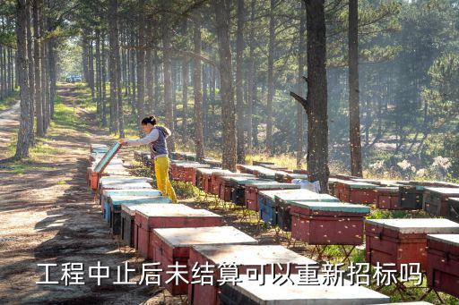 招標(biāo)項目終止后可以再招標(biāo)不，工程中止后未結(jié)算可以重新招標(biāo)嗎