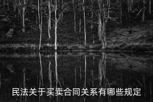 民法關(guān)于買賣合同關(guān)系有哪些規(guī)定
