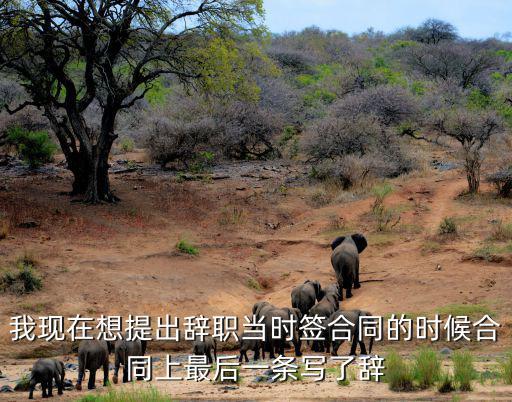 寫合同最后一條寫什么最保障，解除勞動合同協(xié)議最后一條是這樣寫的簽訂本協(xié)議后雙方同意不再