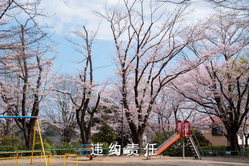違約責(zé)任 英文縮寫，違 約 責(zé) 任