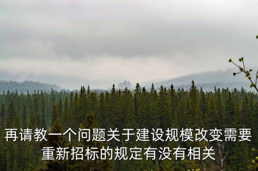 再請教一個問題關于建設規(guī)模改變需要重新招標的規(guī)定有沒有相關