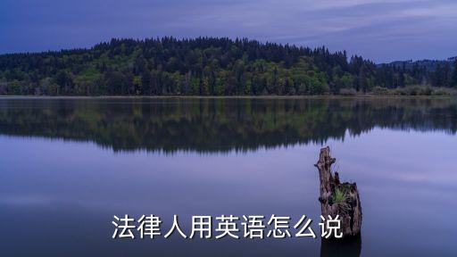 法律人用英語怎么說
