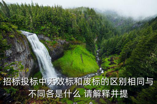 無(wú)效投標(biāo)，哪些投標(biāo)文件可以按照無(wú)效投標(biāo)處理