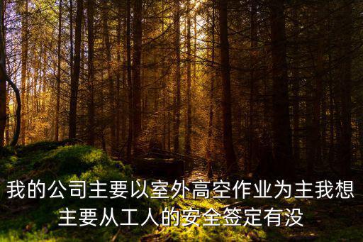 我的公司主要以室外高空作業(yè)為主我想主要從工人的安全簽定有沒