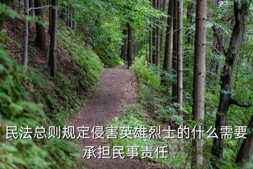 民法典943條原文，民法總則規(guī)定侵害英雄烈士的什么需要承擔(dān)民事責(zé)任