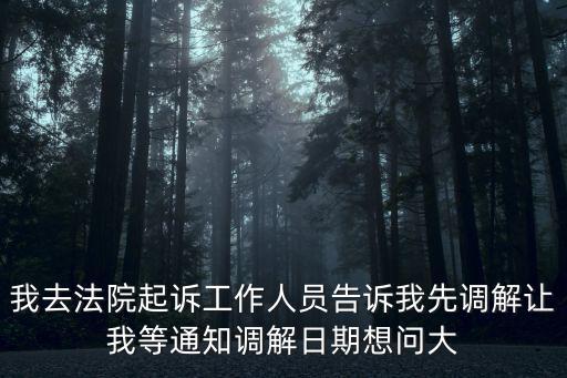 我去法院起訴工作人員告訴我先調(diào)解讓我等通知調(diào)解日期想問大
