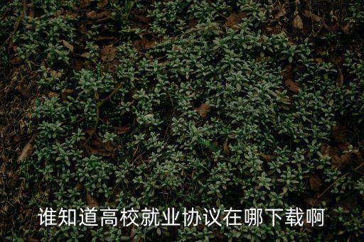 誰(shuí)知道高校就業(yè)協(xié)議在哪下載啊