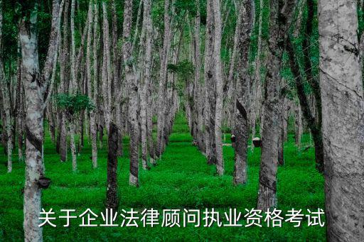 關(guān)于企業(yè)法律顧問執(zhí)業(yè)資格考試