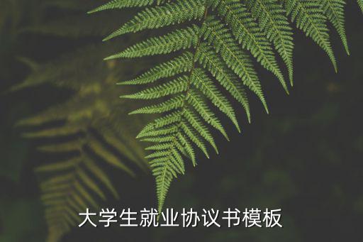 大學(xué)生就業(yè)協(xié)議書模板