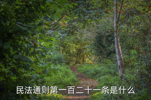 民法通則122條對(duì)應(yīng)民法典，民法通則第一百二十一條是什么