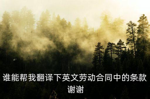 誰(shuí)能幫我翻譯下英文勞動(dòng)合同中的條款 謝謝