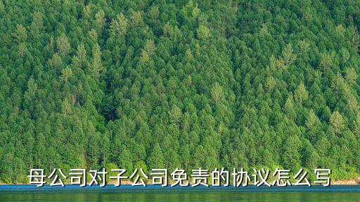 母公司對子公司免責(zé)的協(xié)議怎么寫