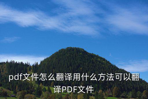 pdf文件怎么翻譯用什么方法可以翻譯PDF文件