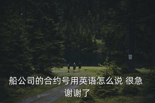 船公司的合約號(hào)用英語(yǔ)怎么說 很急 謝謝了