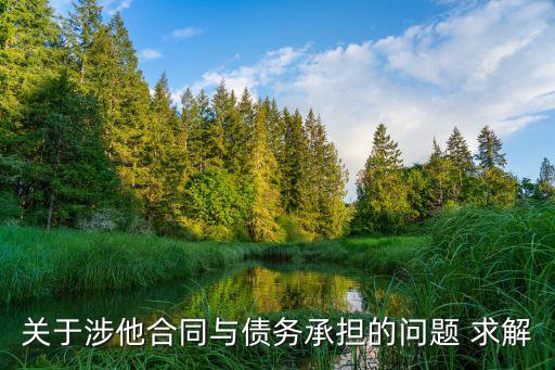 合同法第121，關(guān)于涉他合同與債務(wù)承擔(dān)的問(wèn)題 求解