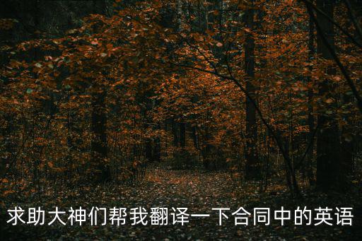 求助大神們幫我翻譯一下合同中的英語