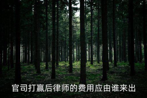 官司打贏后律師的費用應(yīng)由誰來出
