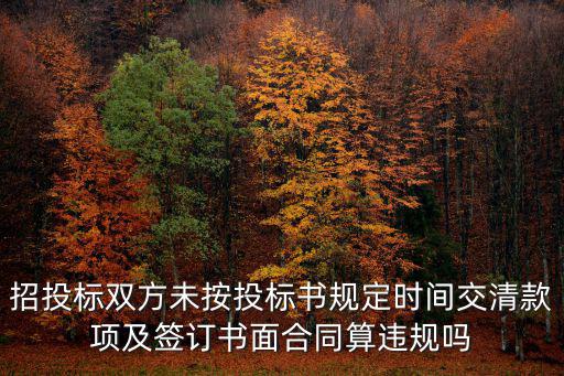 招投標(biāo)雙方未按投標(biāo)書規(guī)定時(shí)間交清款項(xiàng)及簽訂書面合同算違規(guī)嗎