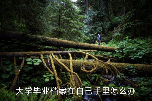 大學(xué)畢業(yè)檔案在自己手里怎么辦