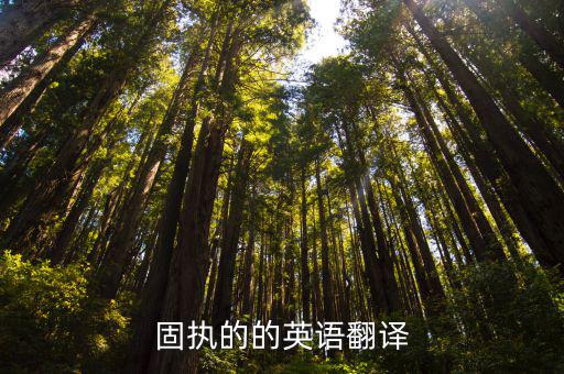 固執(zhí)的的英語翻譯
