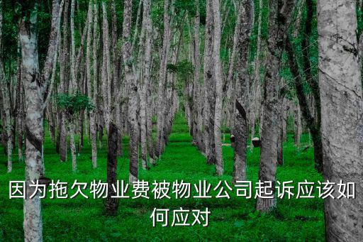 被物業(yè)起訴如何處理，被物業(yè)公司起訴該怎樣辦