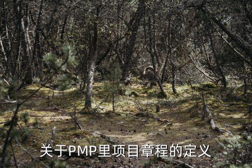 關(guān)于PMP里項(xiàng)目章程的定義