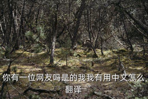 你有網(wǎng)友嗎翻譯成英文，網(wǎng)友的英文單詞是什么